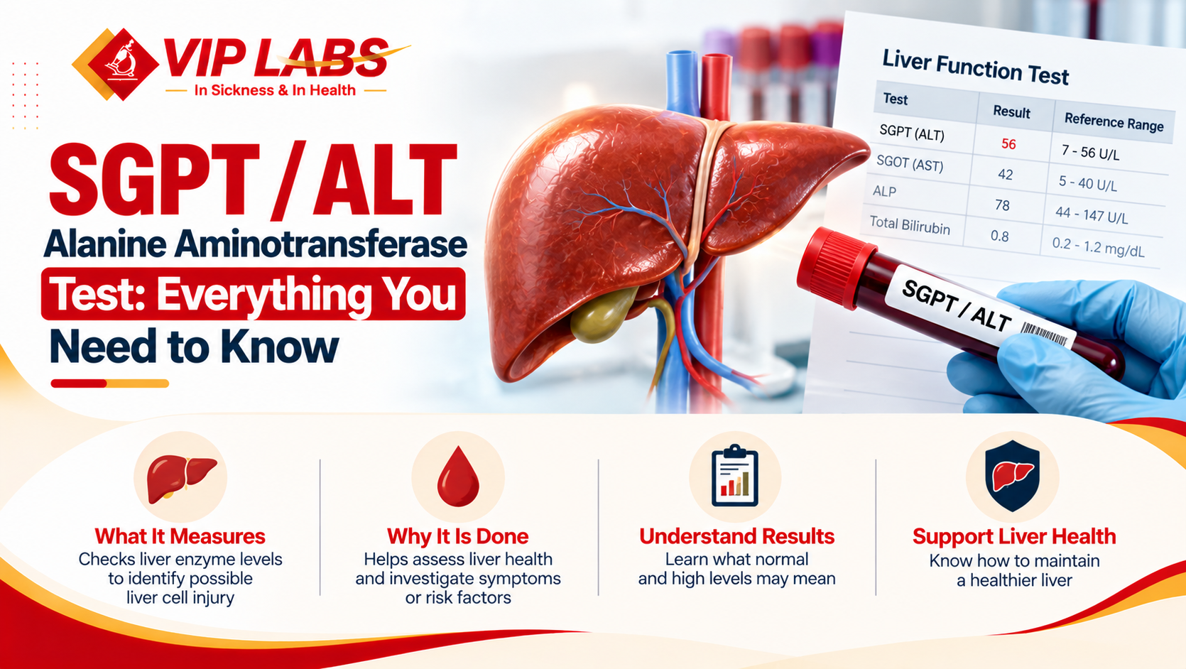 SGPT / ALT / Alanine Aminotransferase Test: Important Things You Must Know